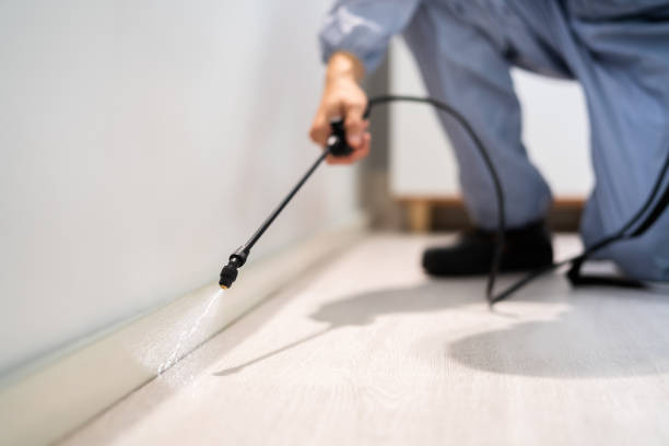 Licensed Pest Control service in Hasson Heights, PA - Show Me Pest Control